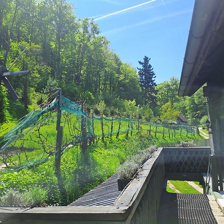 פרסבאום Das Altsteirische Landhaus - La Maison De Pronegg - Feriendomizil Im Biosphaerenpark Wienerwald מראה חיצוני תמונה