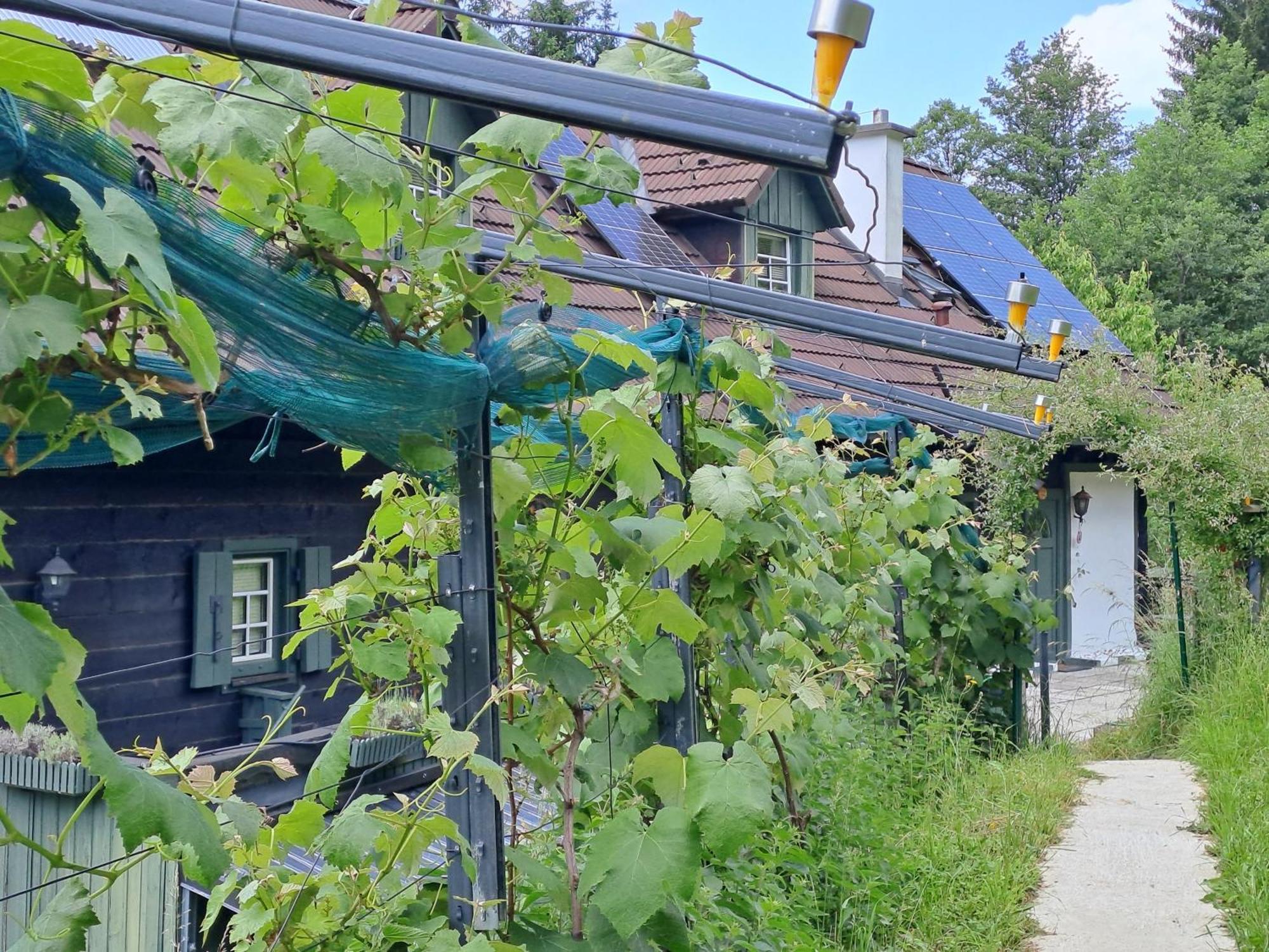 פרסבאום Das Altsteirische Landhaus - La Maison De Pronegg - Feriendomizil Im Biosphaerenpark Wienerwald מראה חיצוני תמונה