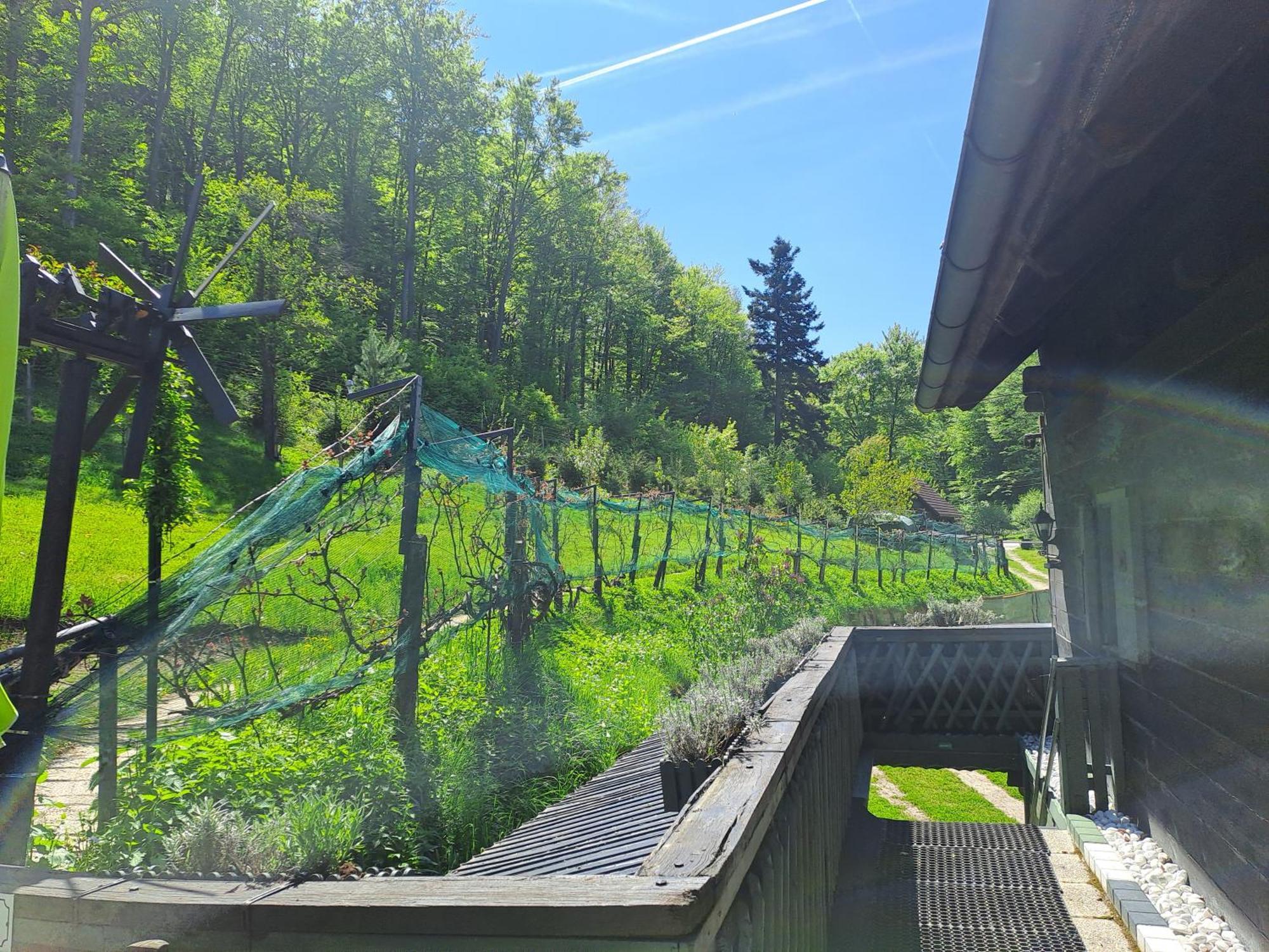 פרסבאום Das Altsteirische Landhaus - La Maison De Pronegg - Feriendomizil Im Biosphaerenpark Wienerwald מראה חיצוני תמונה